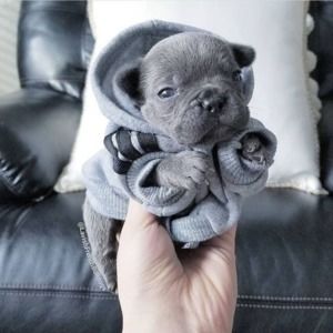 Meet your Posher, Ruari